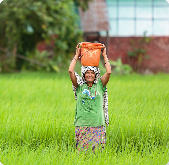 Rohingya Projects